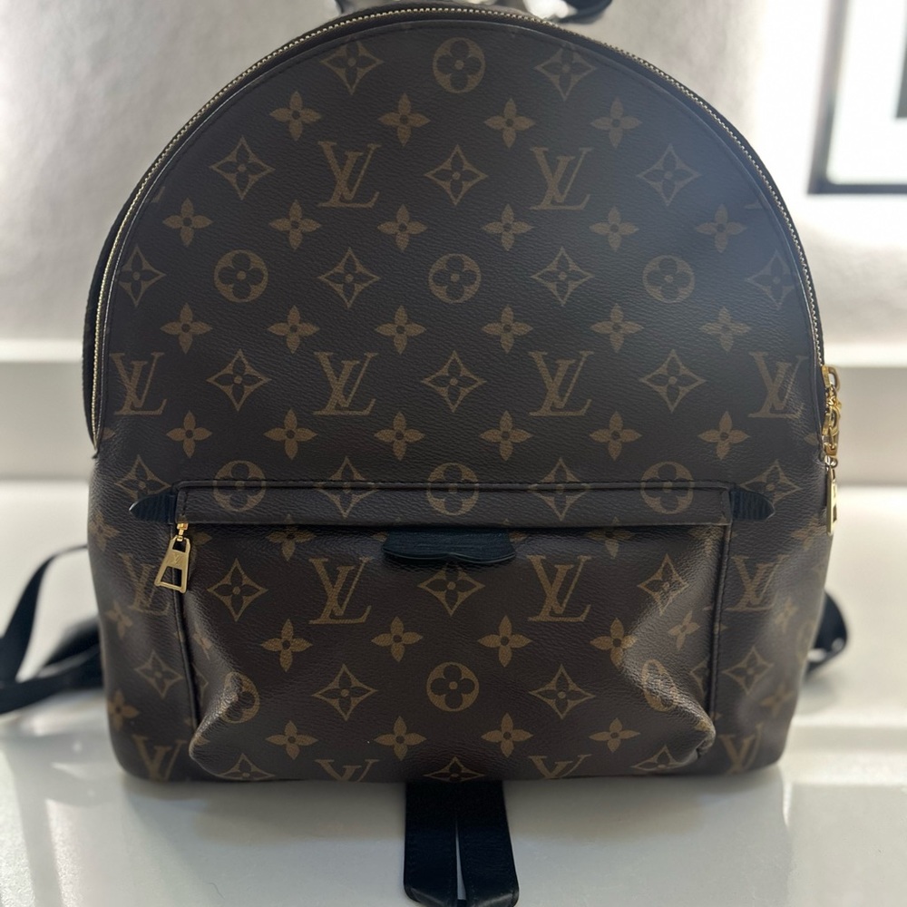 Louis Vuitton Palm Springs MM Backpack